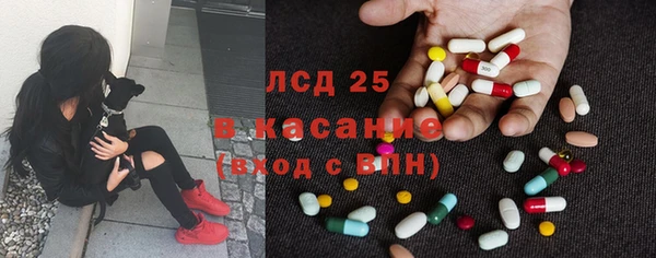 винт Аркадак