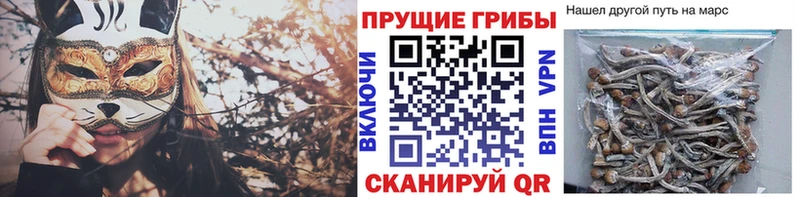 Псилоцибиновые грибы Psilocybe  Купить  Волжский 